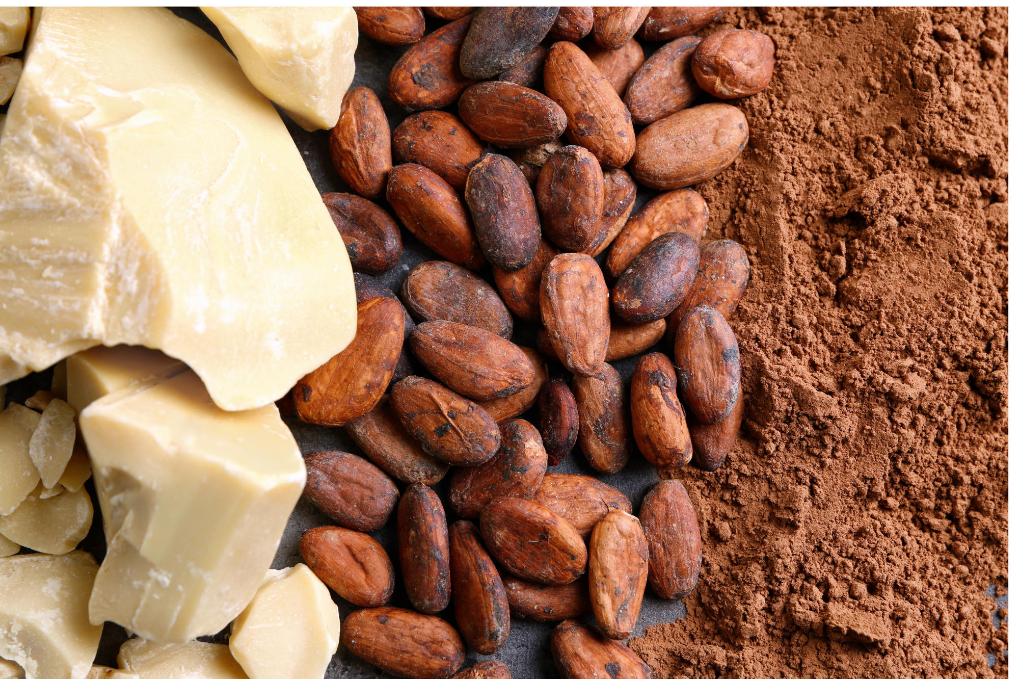 Chocosmétologie - Chocolats BIO et cosmétiques naturels au beurre de cacao CRU BIO